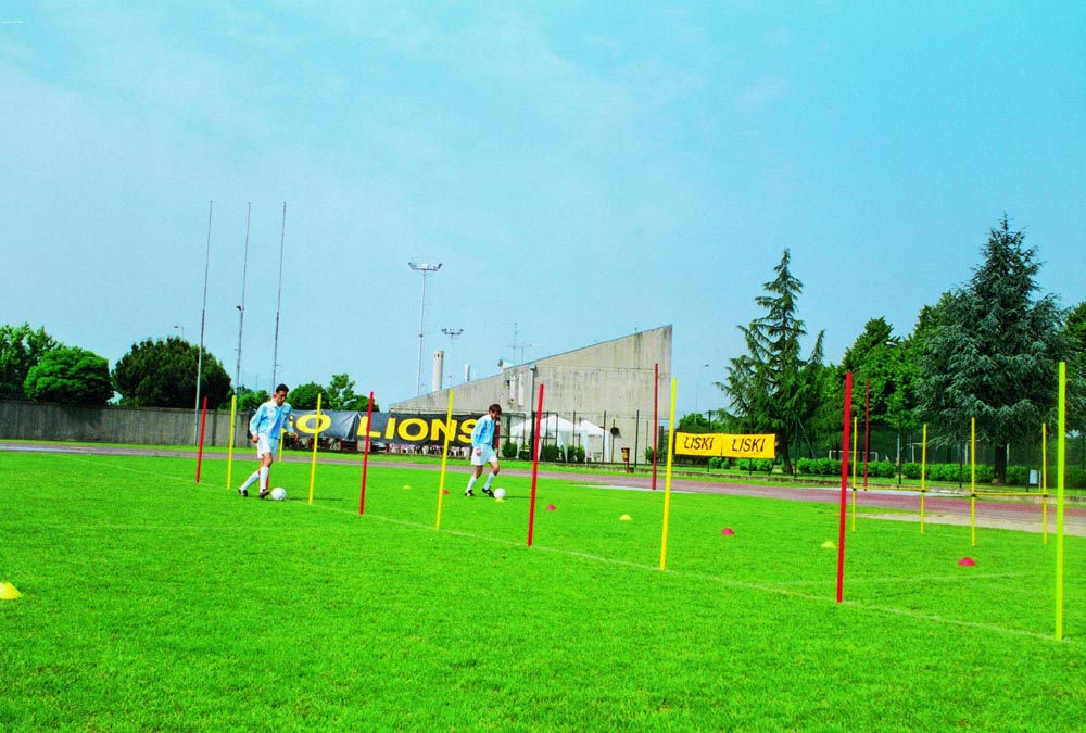 Hindernisstange m. Erdspitze – Bild 4