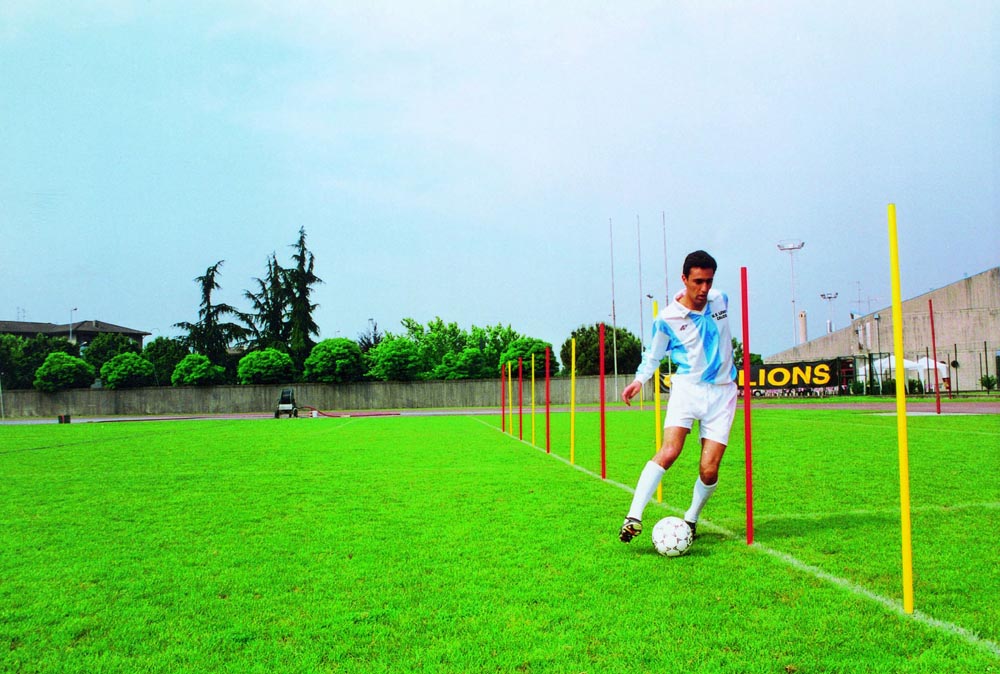 Hindernisstange m. Erdspitze