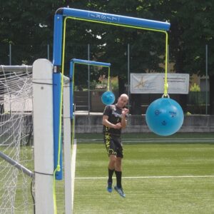 Swingball - Halter